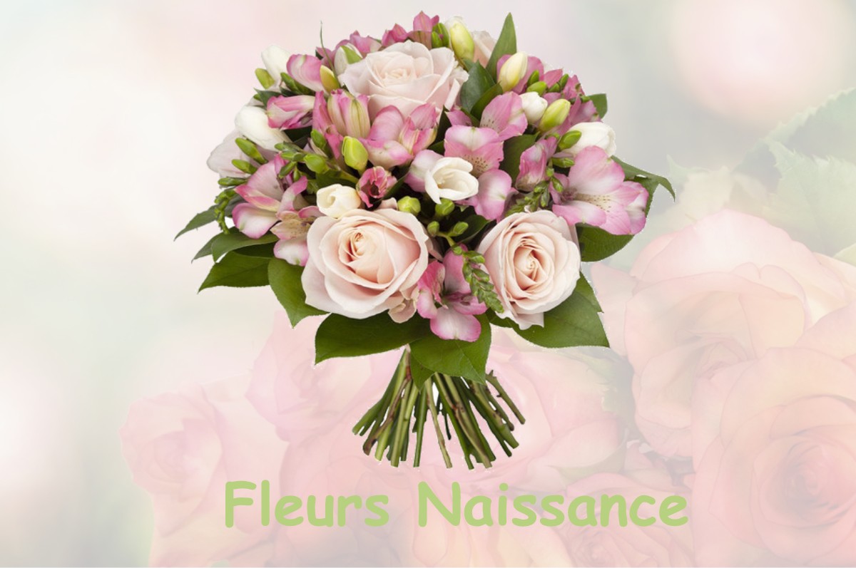 fleurs naissance PLASSAC-ROUFFIAC
